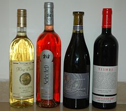 Israeli_Wine_Bottles_007